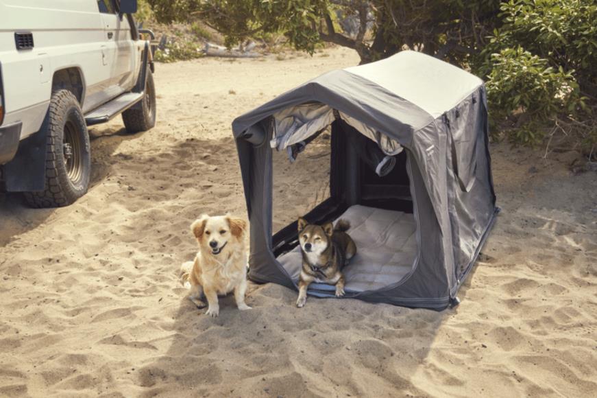 Dometic K9 80 Air Dog Kennel / Shelter | Dometic Kampa Awnings ...