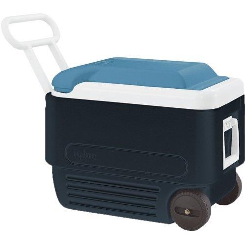 Igloo Maxcold Roller 40 Qt. Cooler | Camping coolbox | Leisureshopdirect