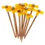 Fiamma Pegs Kit for Privacy 10 Pcs image 1