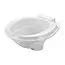 Inner Bowl for toilet image 1